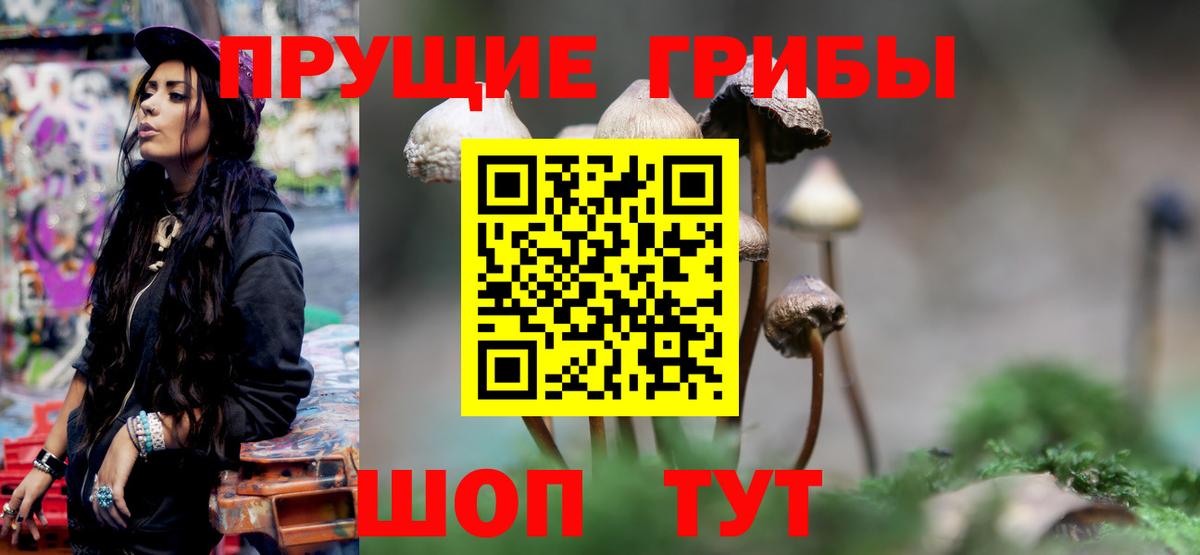 Альметьевск  сколько стоит  Вход с VPN  Галлюциногенные грибы мицелий  Галлюциногенные грибы мицелий 